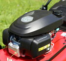 Muruniiduk CP1 484 H (veoga) Vari
