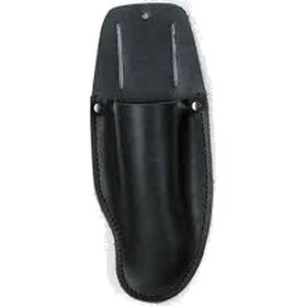 Vöötasku aiakääridele